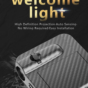 Pavio Door Welcome Light